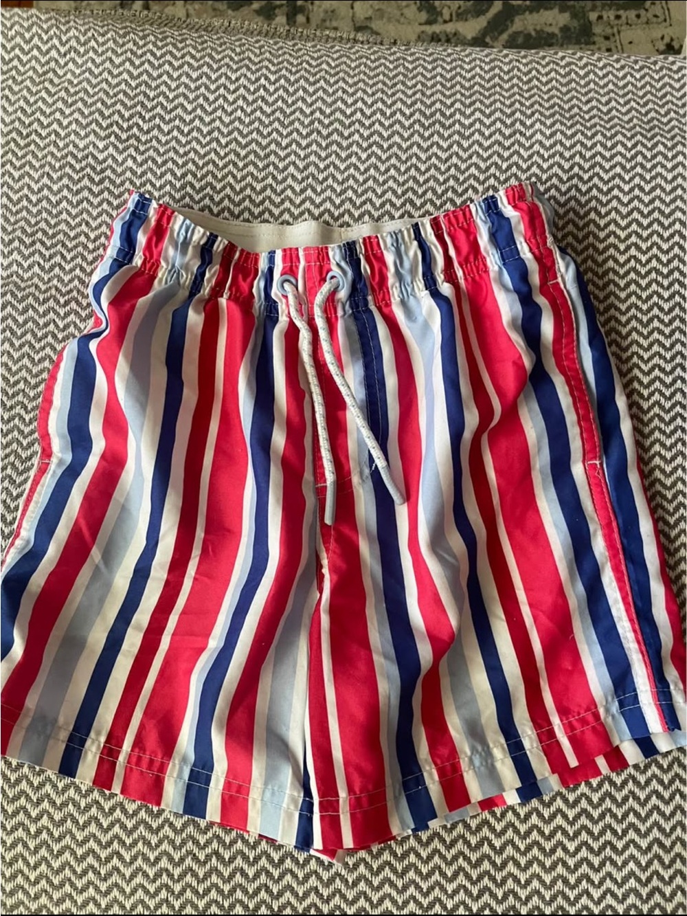 Cat and Jack boys striped swim shorts